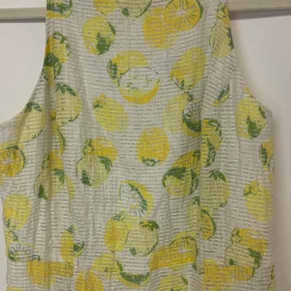 Lemon print dress Ann Taylor SZ 4 sheer banded waist retro full skirt whimsical - Picture 3 of 12
